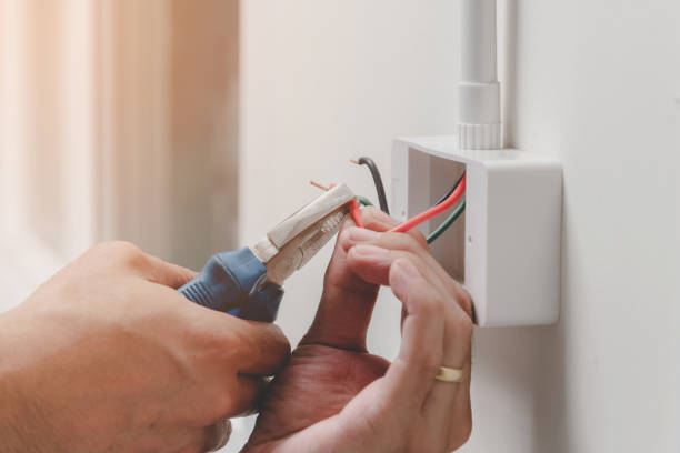 Best Electrical Maintenance Services  in Rainsville, AL